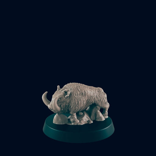 Boar - EC3D, DnD | Animal | Pig | Monster| 5E | Medium | 32mm | Pathfinder | Fantasy | Wargaming | Frostgrave | Druid