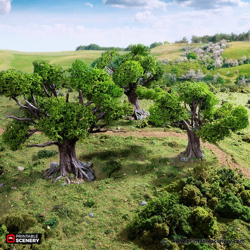 Oak Trees - King and Country, DnD, Pathfinder, 15mm, 28mm, 32mm, wargaming terrain, scenery D&D, medieval village, nature, forest, town