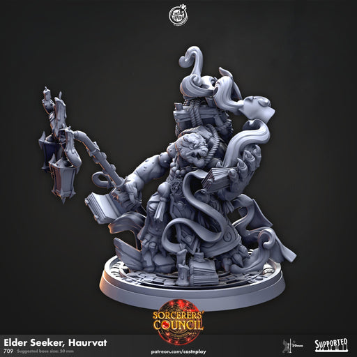 Elder Seeker Haurvat - dnd and wargaming miniature - Tortle, Tortollen, Sorcerer, Wizard, Warlock, Male, Sorcerer's Council, Tortanian