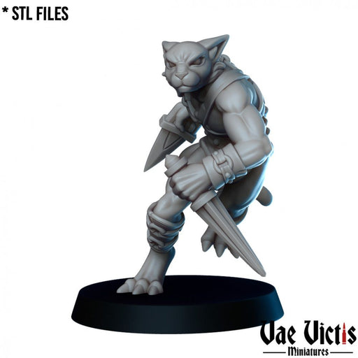 Tabaxi Gladiator – Vae Victis 3D printed tabletop miniature