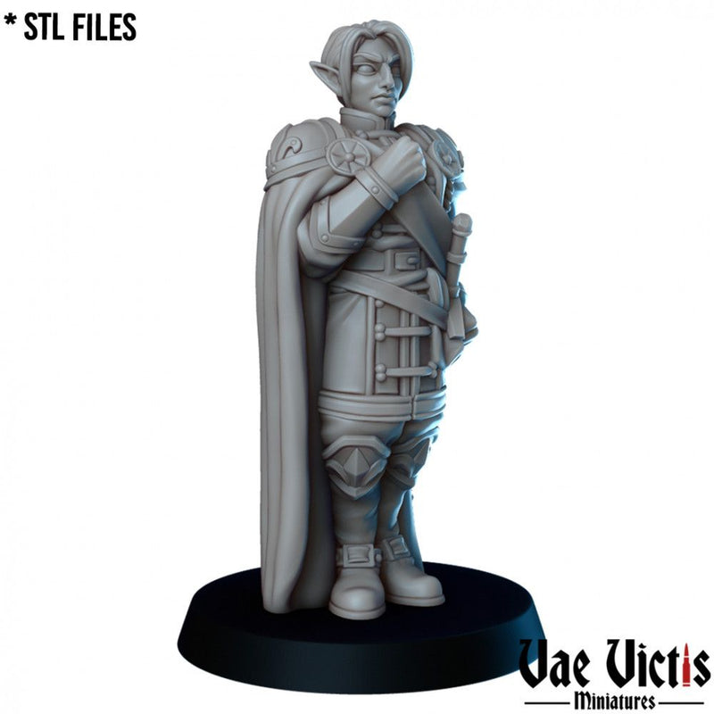 The General – Vae Victis 3D printed tabletop miniature