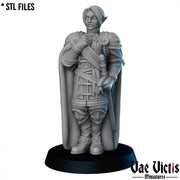 The General – Vae Victis 3D printed tabletop miniature