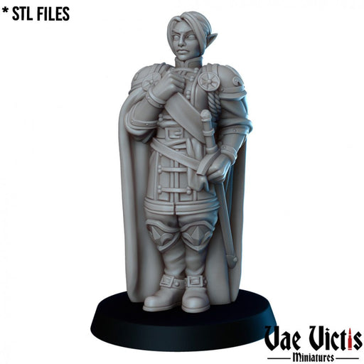 The General – Vae Victis 3D printed tabletop miniature