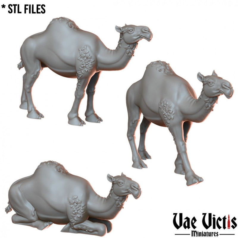 Camels – 3 Pack – Vae Victis 3D printed tabletop miniature