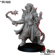 Tiefling Cleric – Vae Victis 3D printed tabletop miniature