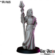 High Priestess – Vae Victis 3D printed tabletop miniature