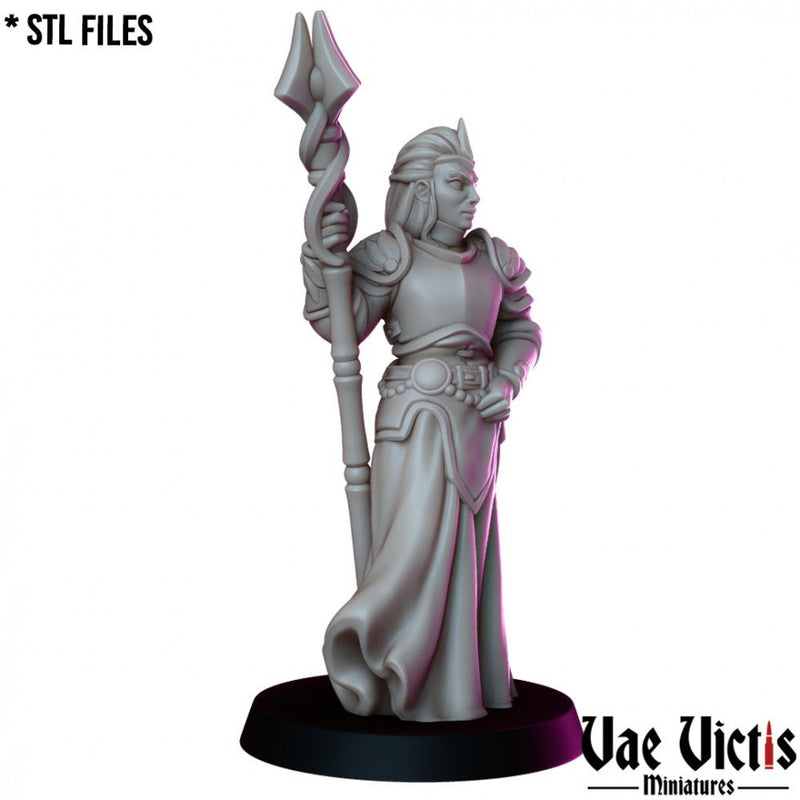 High Priestess – Vae Victis 3D printed tabletop miniature