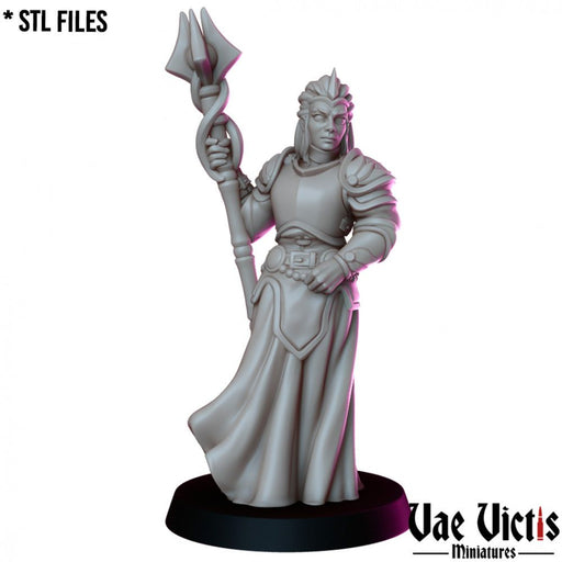 High Priestess – Vae Victis 3D printed tabletop miniature
