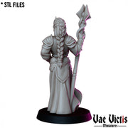 High Priestess – Vae Victis 3D printed tabletop miniature