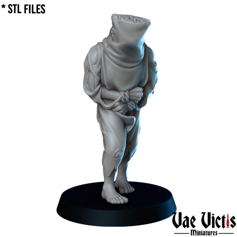 Mysterious Prisoner – Vae Victis 3D printed tabletop miniature