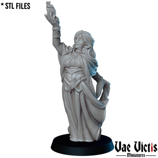 Firbolg Mage – Vae Victis 3D printed tabletop miniature