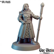 Lawful Hero – Vae Victis 3D printed tabletop miniature