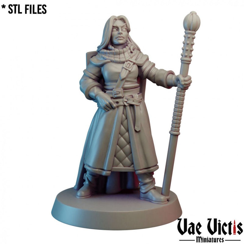 Lawful Hero – Vae Victis 3D printed tabletop miniature