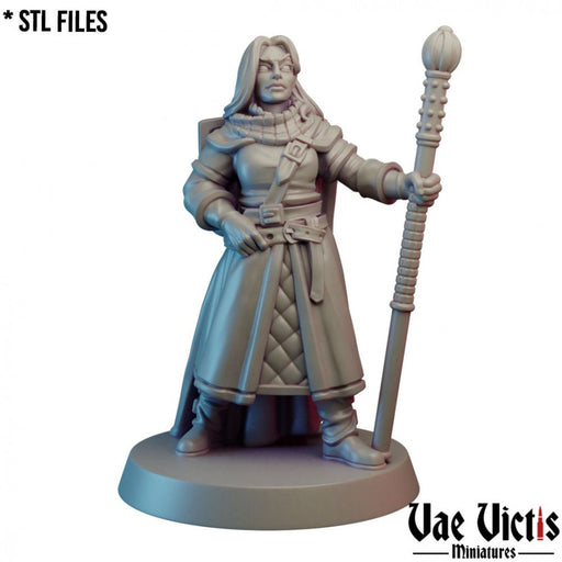 Lawful Hero – Vae Victis 3D printed tabletop miniature