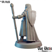 Lawful Hero – Vae Victis 3D printed tabletop miniature