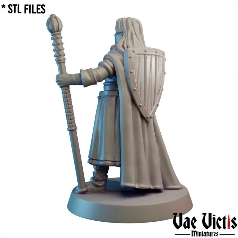 Lawful Hero – Vae Victis 3D printed tabletop miniature