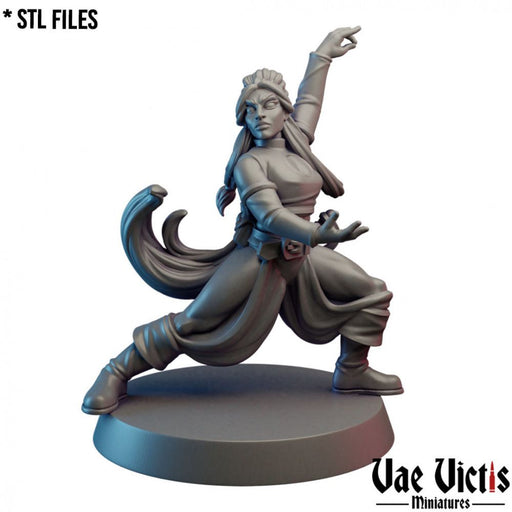 Elementalist – Vae Victis 3D printed tabletop miniature
