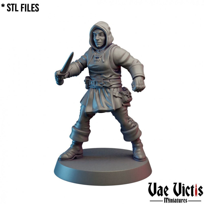 Mercenaries Pack II – 5 Mini Set – Vae Victis 3D printed tabletop miniature
