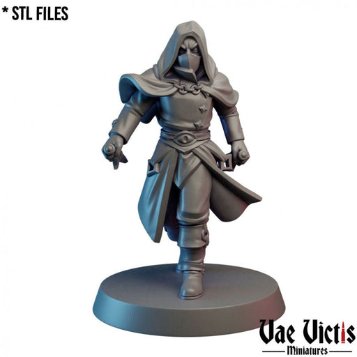 Dark Rogue – Vae Victis 3D printed tabletop miniature