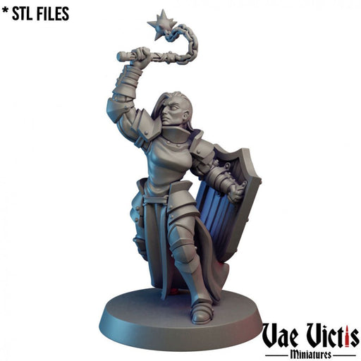 Paladin – Vae Victis 3D printed tabletop miniature