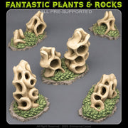 Elder Hollow Stones – Fantastic Plants & Rocks 3D printed scatter terrain