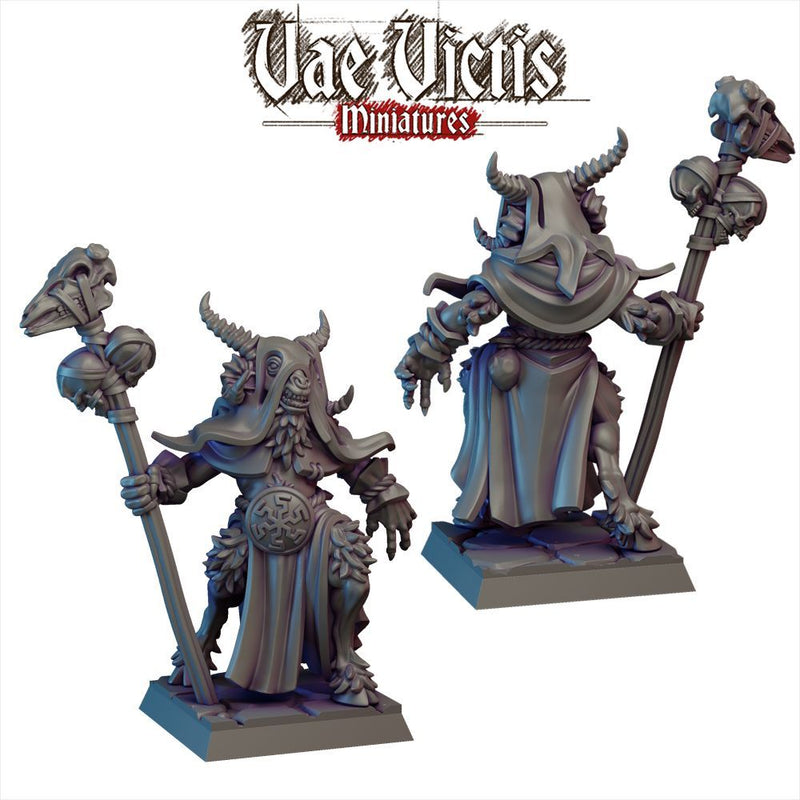 Shaman Beastwarrior – Vae Victis 3D printed tabletop miniature