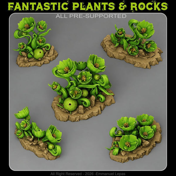 Witchbane Blooms