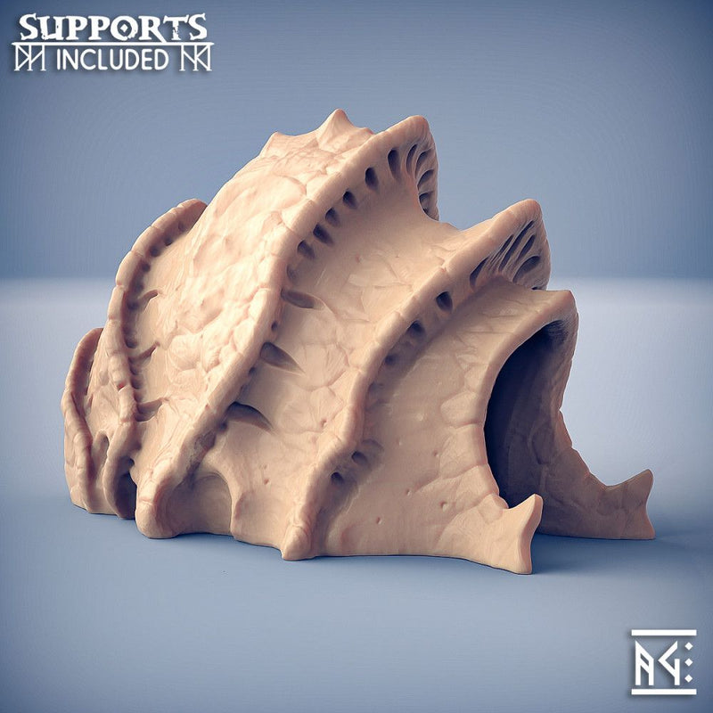 Subterranean Carapace Entrance
