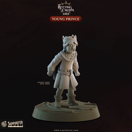 Mad Young Prince – Cast n Play 3D printed tabletop miniature