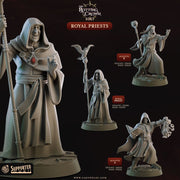 Royal Priests – Cast n Play 3D printed tabletop miniature