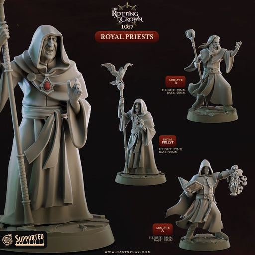Royal Priests – Cast n Play 3D printed tabletop miniature