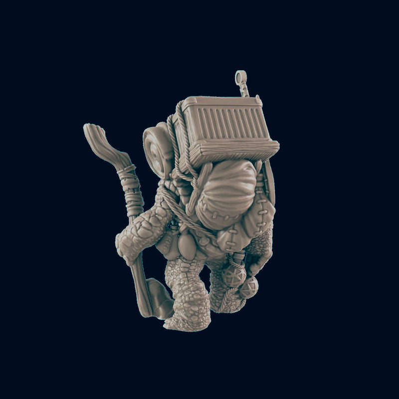 Turtlefolk Traveller