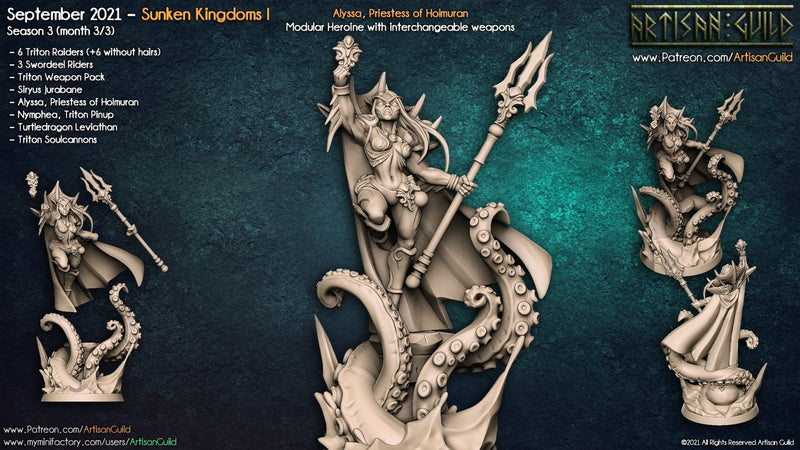 Alyssa - Priestess of Holmuran