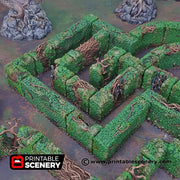 Hedge Maze