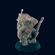 Turtlefolk Traveller