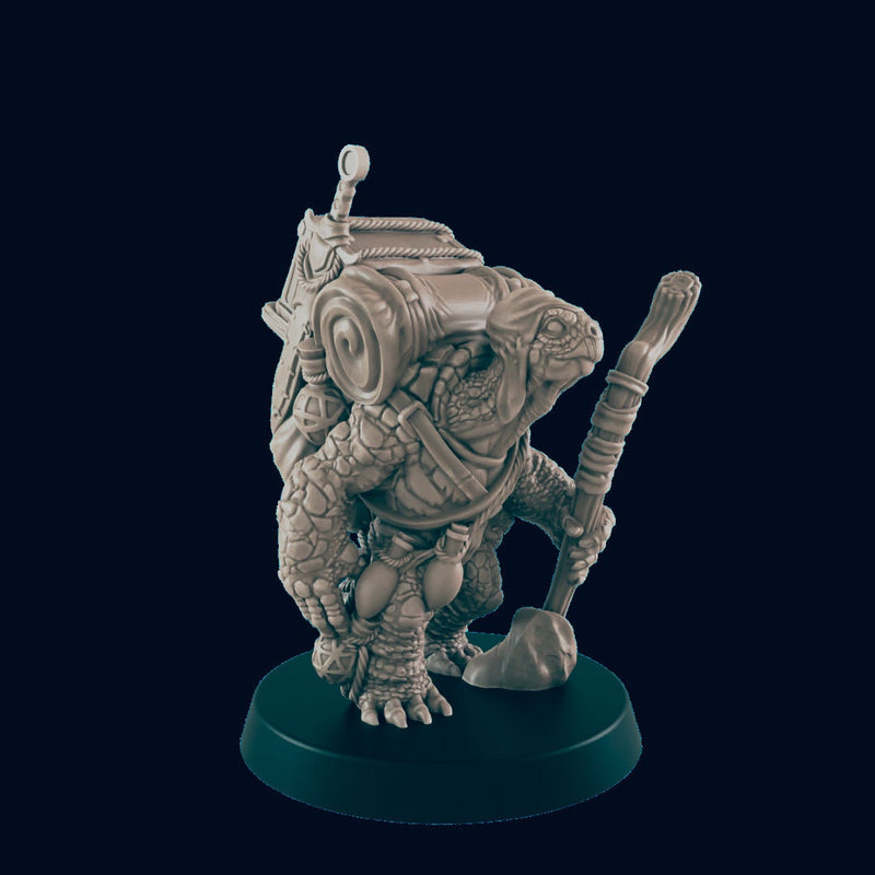 Turtlefolk Traveller