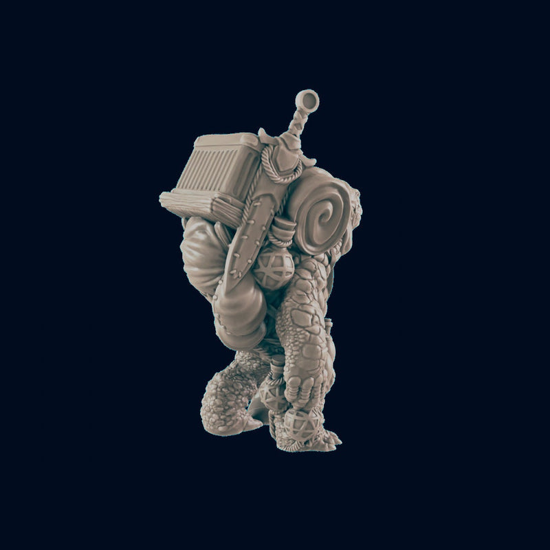 Turtlefolk Traveller