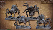 Giant Spider Riders