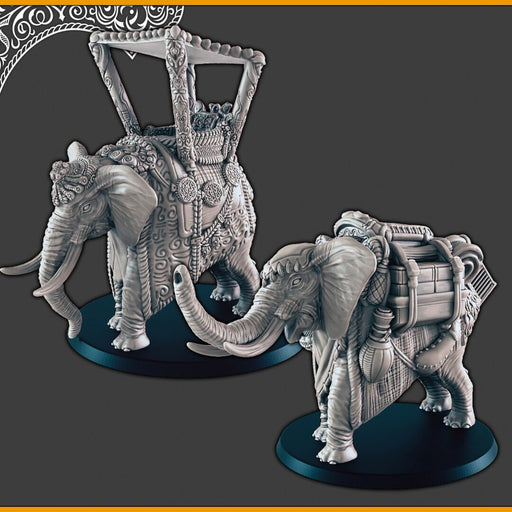 Desert/Arabian Elephants + Howdah