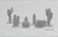 Desert Plants and Cactii