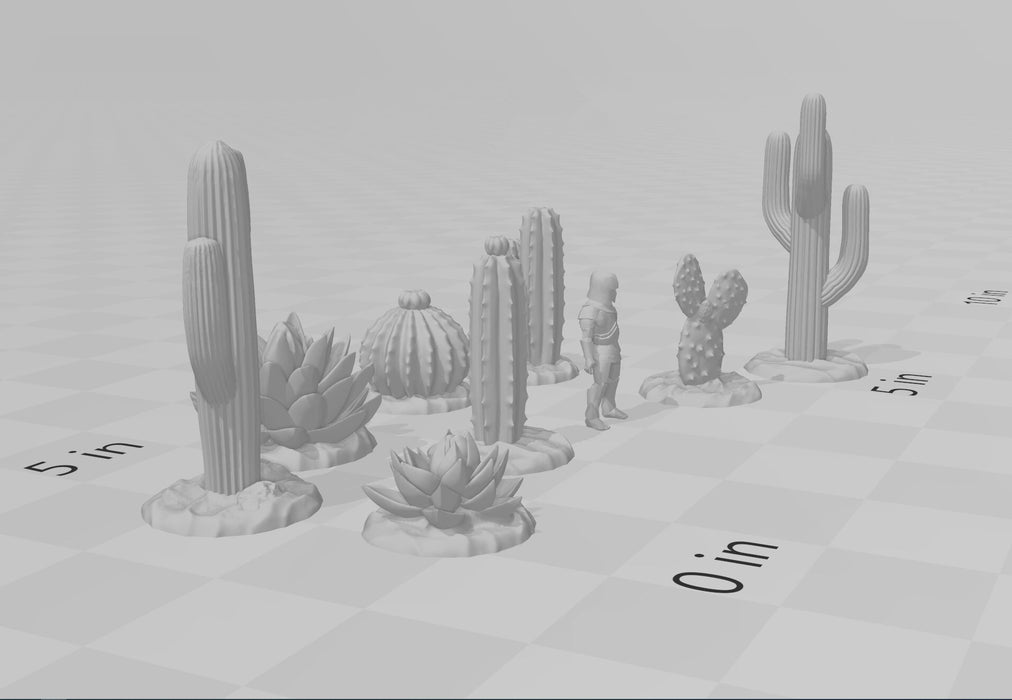 Desert Plants and Cactii