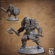 Viking Fighters mini set