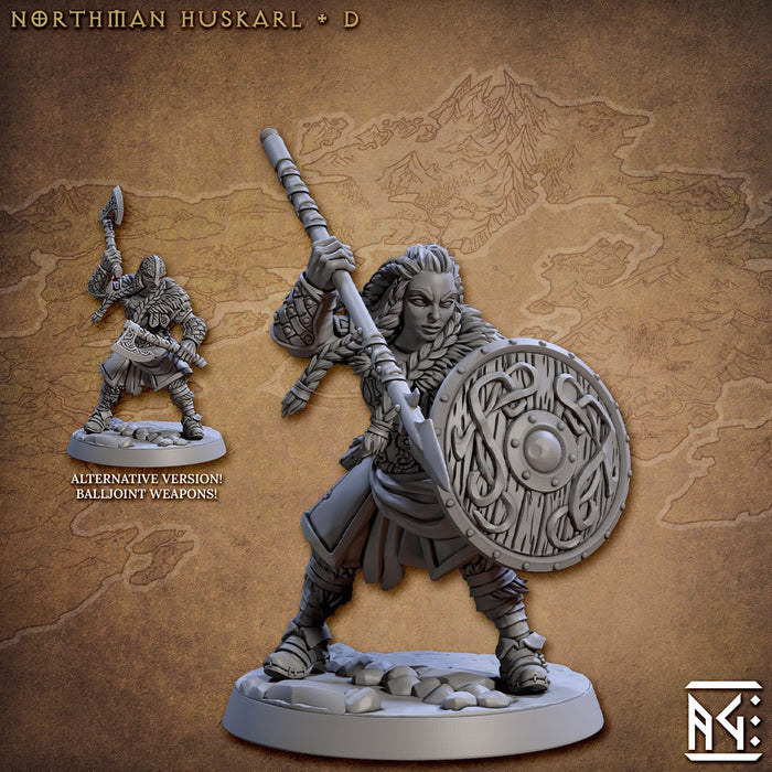 Viking Fighters mini set