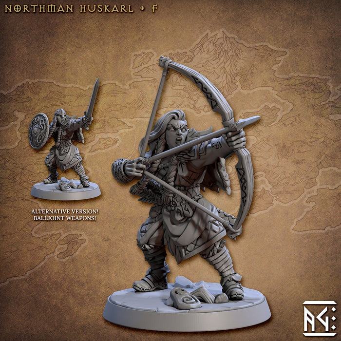 Viking Fighters mini set