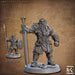 Viking Fighters mini set