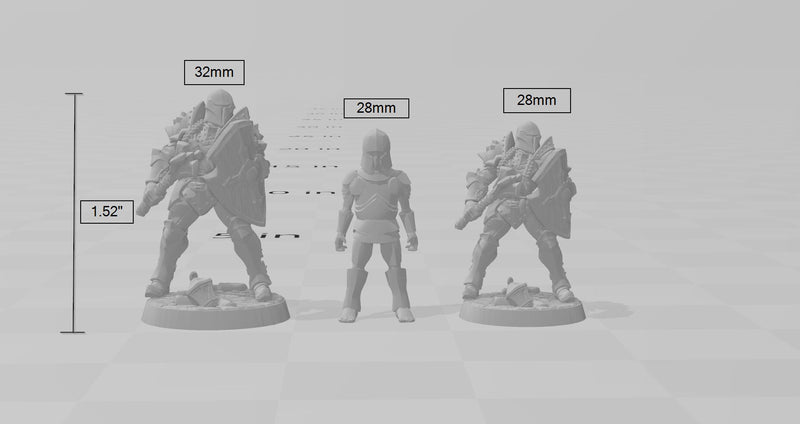 Heavy Armored Female Human Fighter