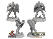 Heavy Armored Female Human Fighter