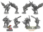 Ascended Human Male Fighter