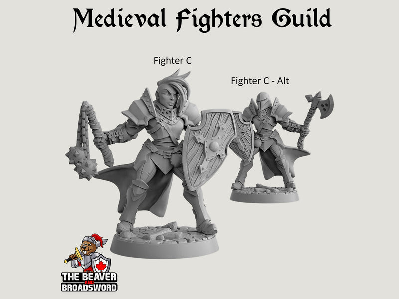 Fighter's Guild dnd mini set - Artisan Guild | Barbarian | Knight | Cleric | Paladin, Pathfinder, TTRPG, Wargaming, Warrior, Human, medieval