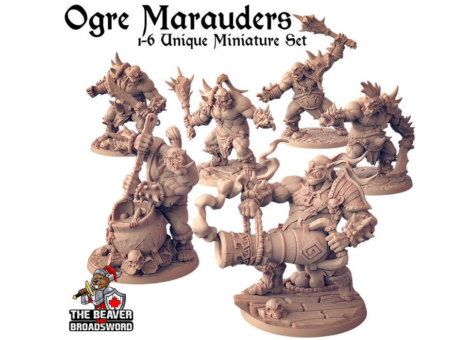 Ogre Marauder with Sword 1